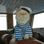 El gato capitán