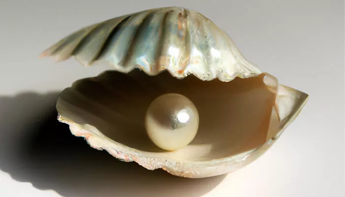Guía completa sobre las perlas