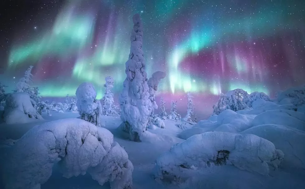 Explorando la Maravilla del Cielo las Auroras Boreales