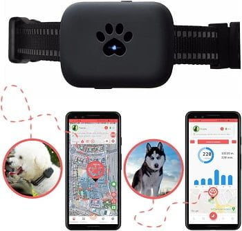 GPS para mascotas - Mantén a tus animales seguros con seguimiento en tiempo real