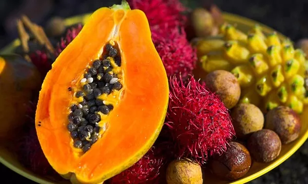 Descubre las maravillas de las frutas exóticas sabores y beneficios para tu salud