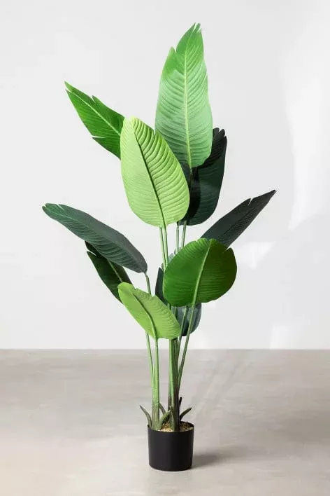 Plantas artificiales la solución decorativa para espacios verdes