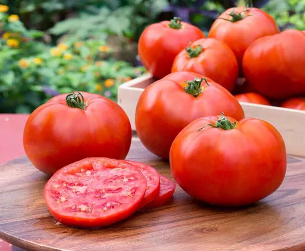 Todo lo que necesitas saber sobre el cultivo de tomates y tomateras