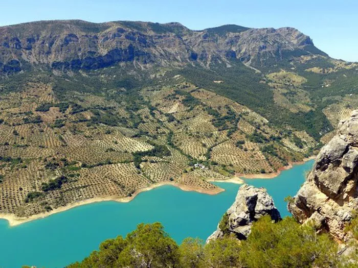 Descubre la fauna salvaje en tus rutas de senderismo en Jaén