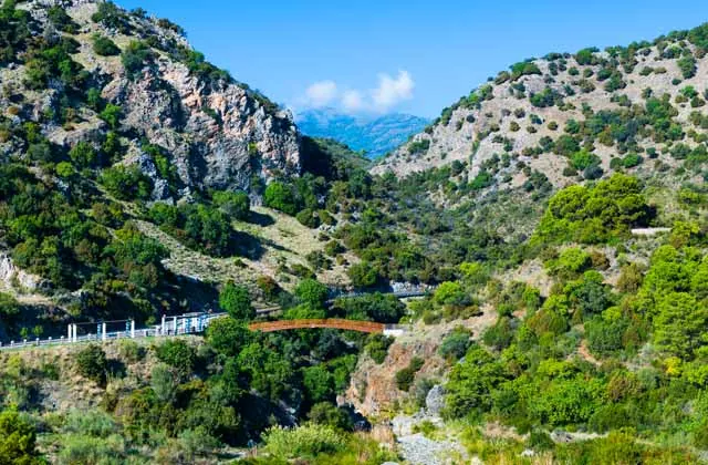 Descubre la fauna salvaje en tus rutas de senderismo por Málaga