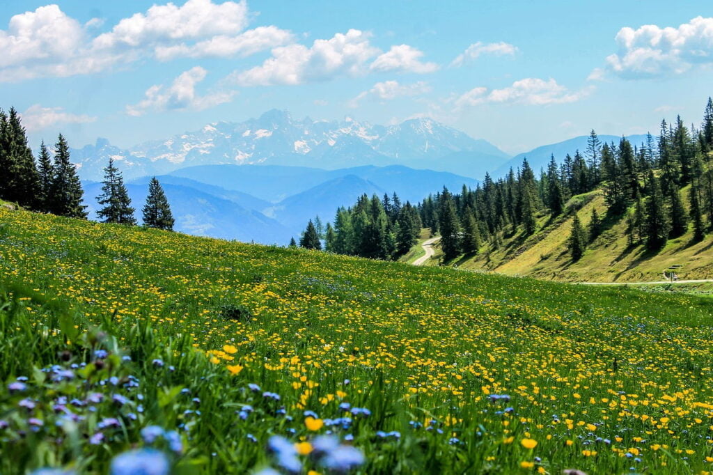 Acampar en la naturaleza en primavera Consejos y recomendaciones