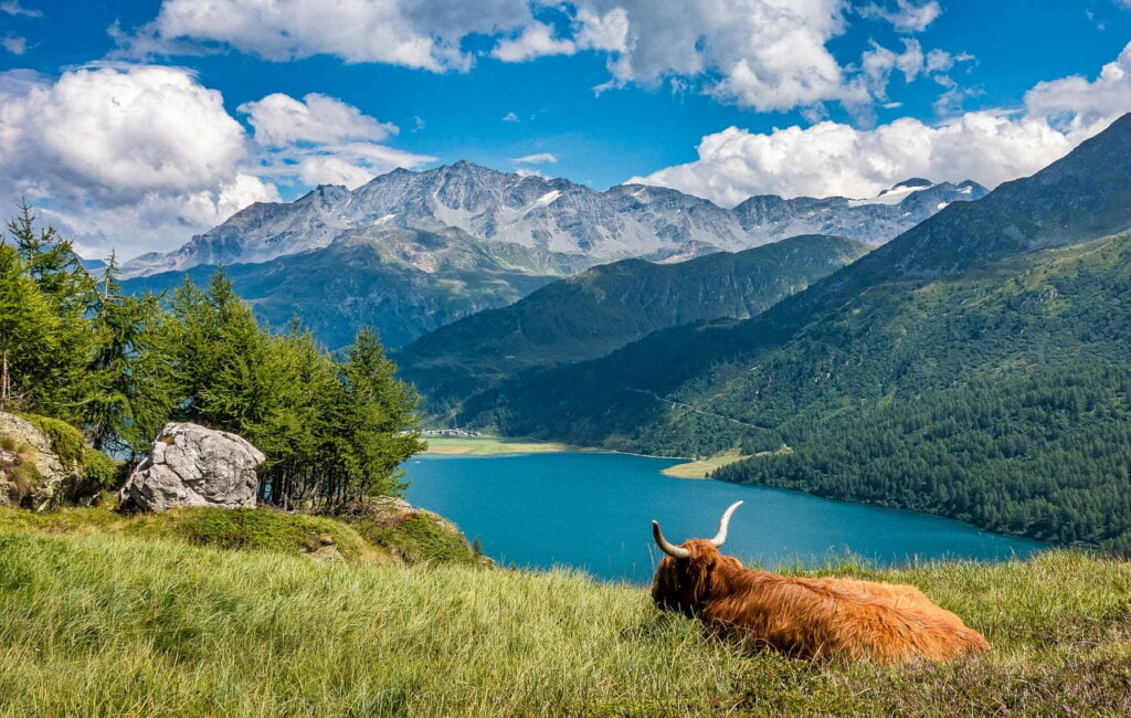 Acampar en la naturaleza en verano Consejos y recomendaciones