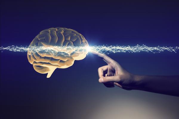 Cómo entrenar tu cerebro para ser más inteligente