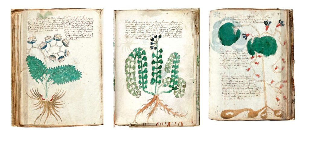 ¿Cuál es la historia detrás del misterioso Manuscrito Voynich y su posible relación con la alquimia?
