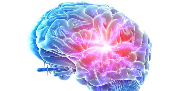 Curiosidades Fascinantes sobre el Cerebro y la Memoria