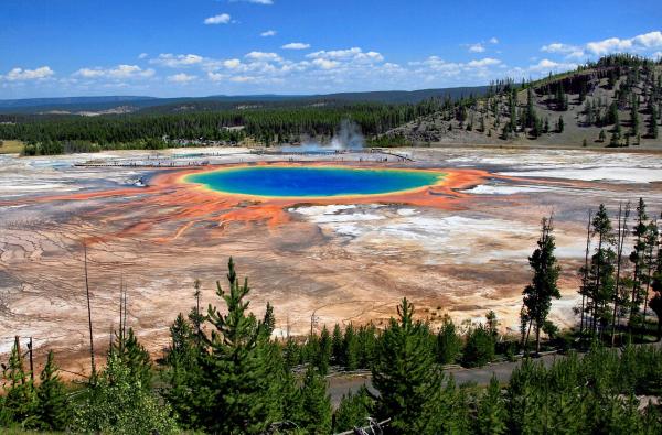 Las curiosidades más extrañas de la naturaleza