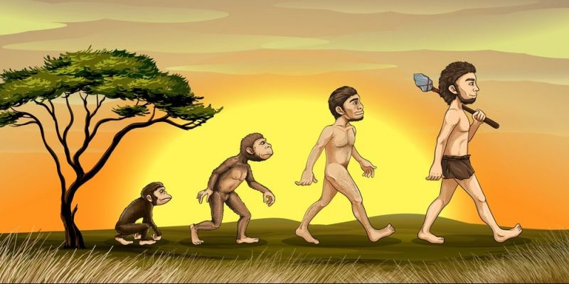 Evolución de la inteligencia humana