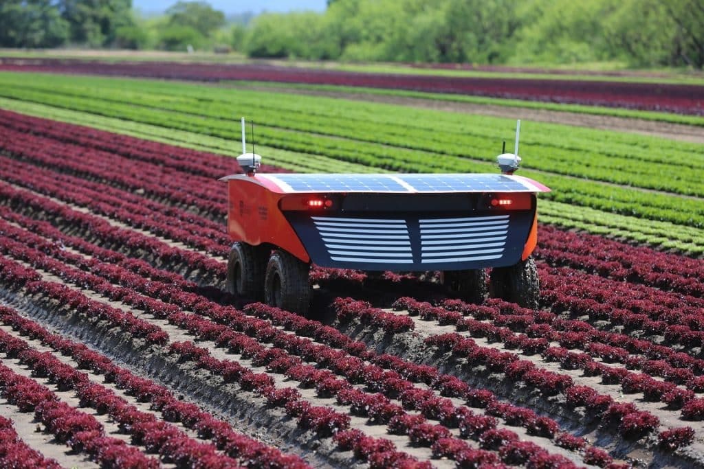 Robótica en la agricultura: la tecnología que revoluciona la producción de alimentos