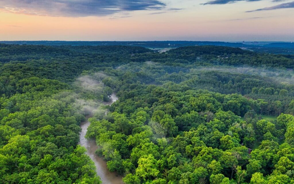 Secretos revelados: Descubre 10 fascinantes curiosidades ocultas en la selva amazónica