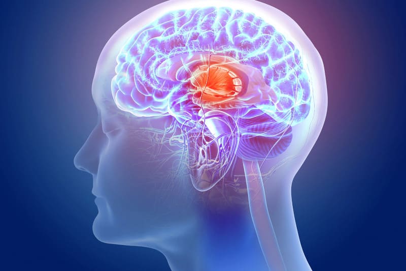 10 curiosidades sorprendentes sobre el cerebro humano