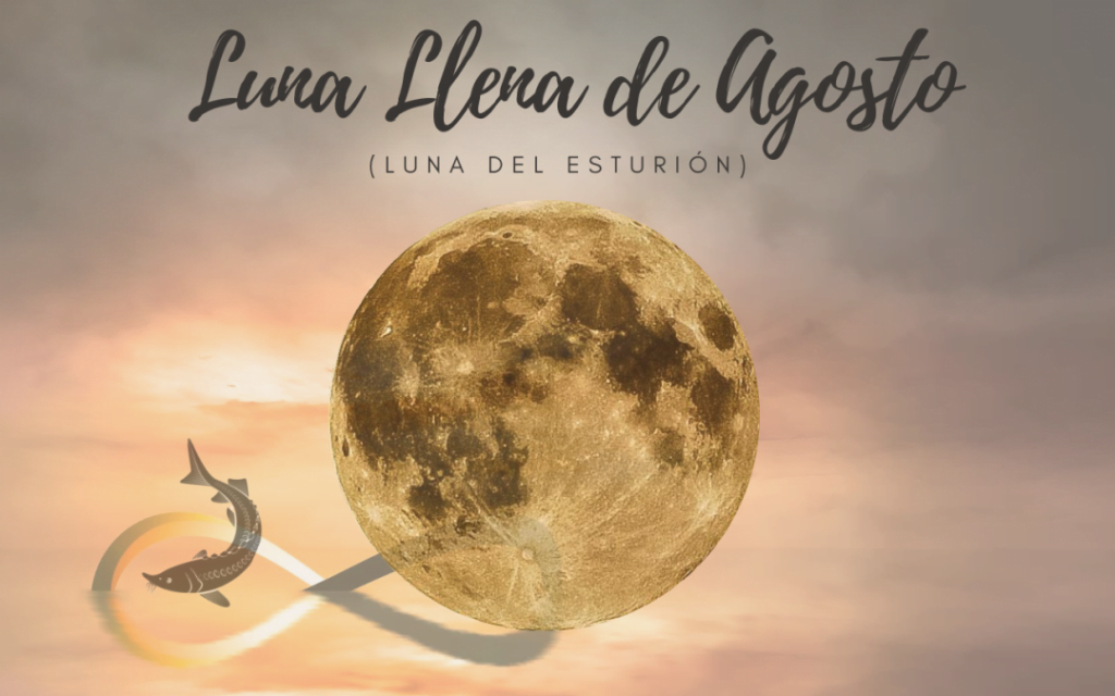 Todo lo que debes saber sobre la Luna de Esturión y su influencia en la Astrología el 1 de agosto de 2023