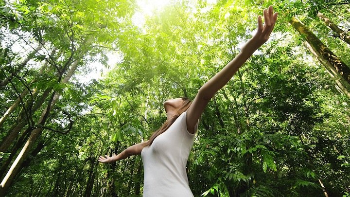 Vivir en armonía con la naturaleza consejos prácticos para cuidar el medio ambiente