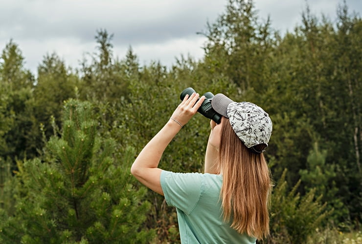 Cómo Elegir el Binocular Perfecto para la Observación de Aves