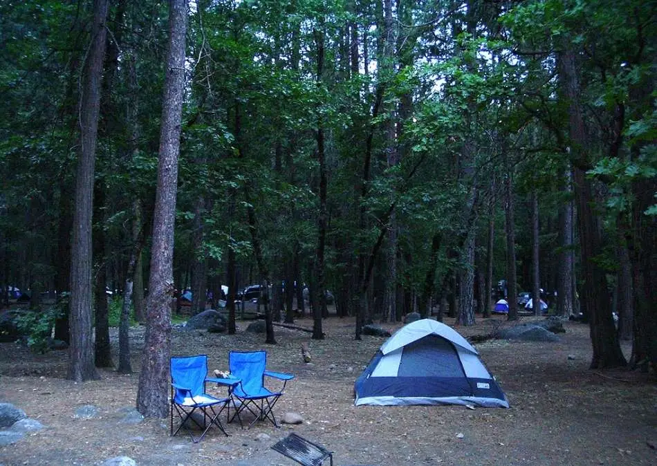 Guía Completa para una Acampada Libre de Riesgos