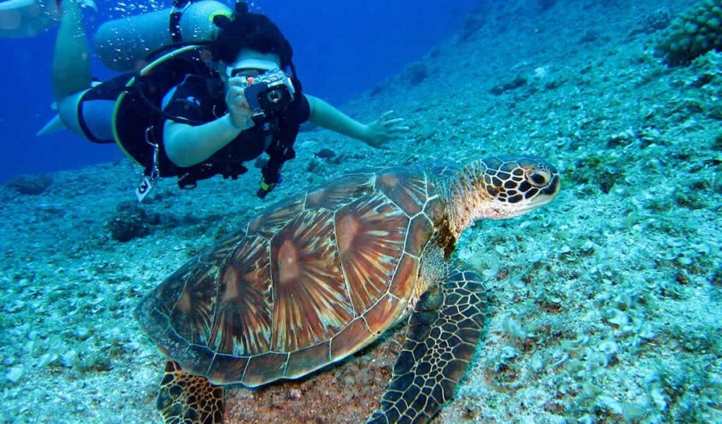 Los deportes acuáticos más emocionantes para vivir aventuras en la playa