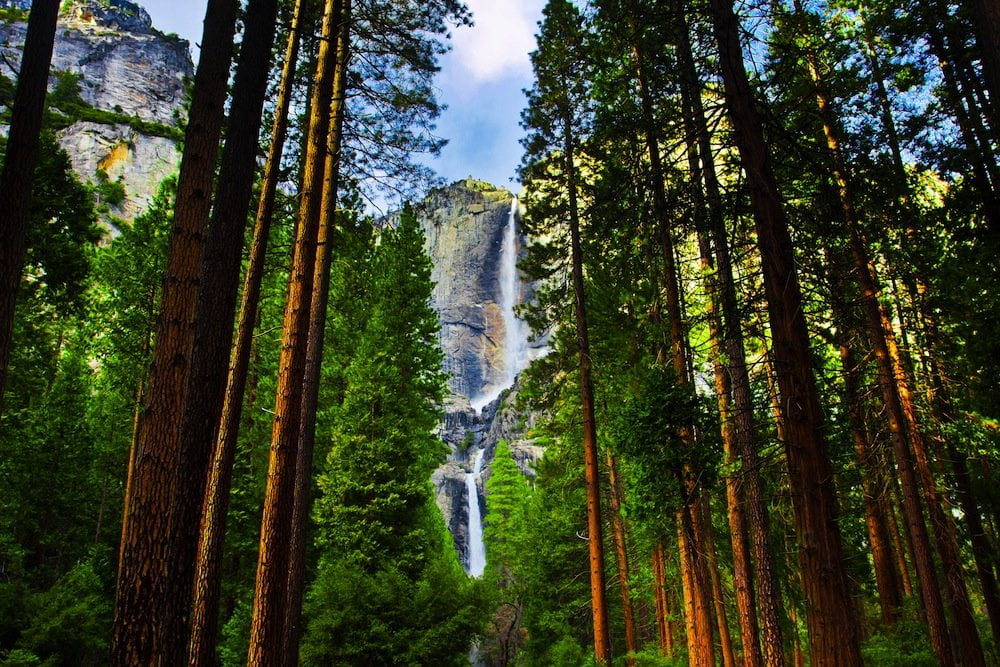 Parque Nacional de Yosemite en Estados Unidos