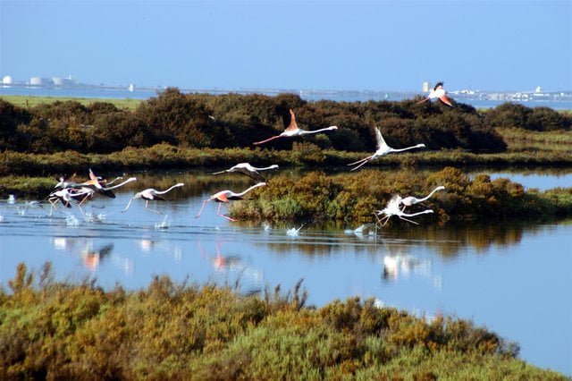 Parque Natural Bahía de Cádiz: Entre Marismas y Playas