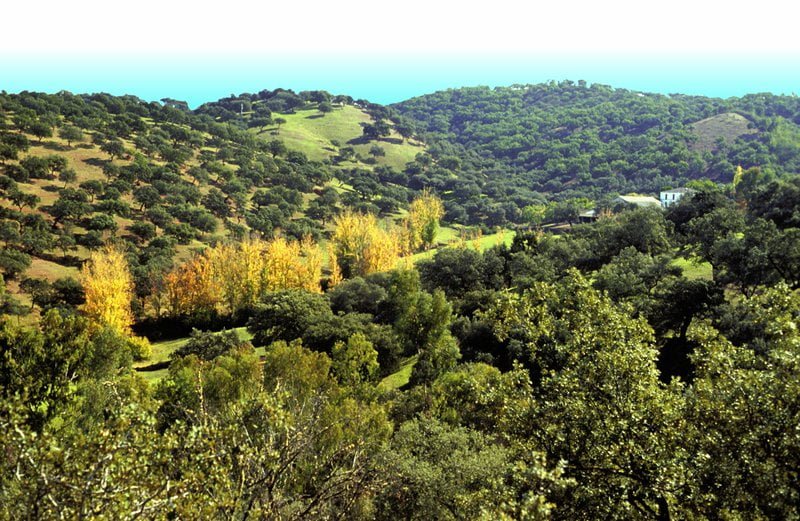 Parque Natural Sierra de Aracena y Picos de Aroche