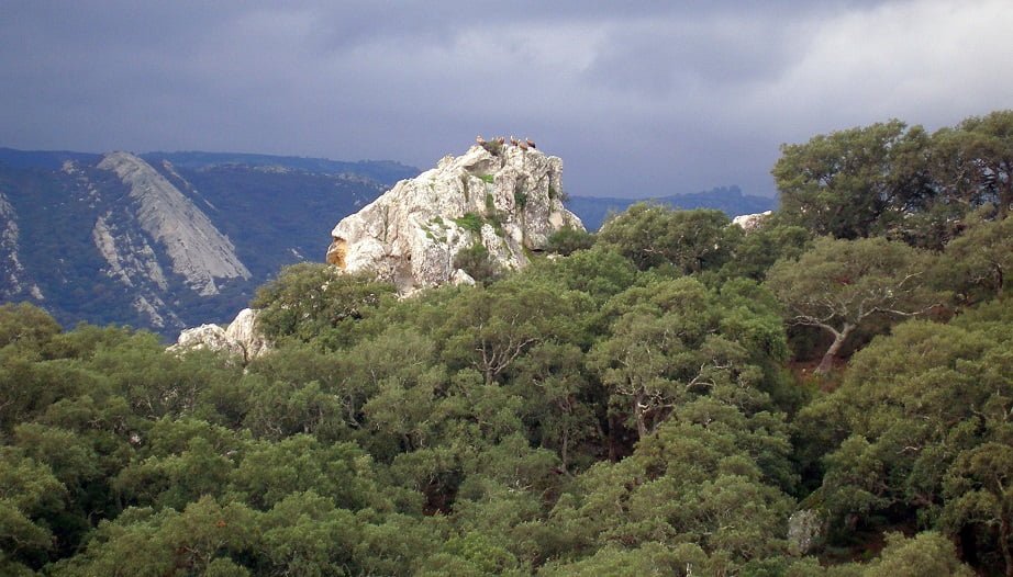 Parque Natural de los Alcornocales: Entre Alcornoques Centenarios