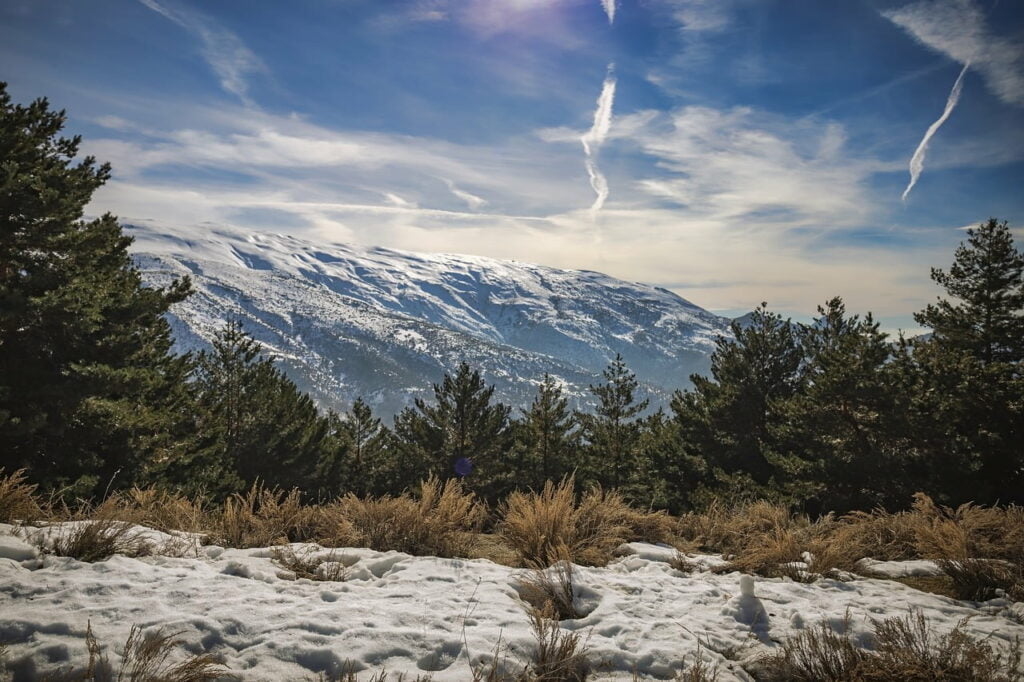 Sierra Nevada: Aventura en las Alturas