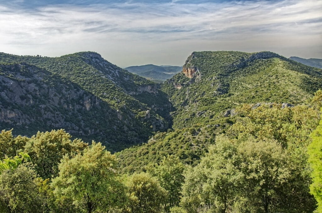 Sierra de Grazalema Un Refugio de Belleza Natural