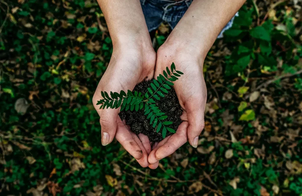 Vida sostenible: consejos para reducir tu huella ecológica