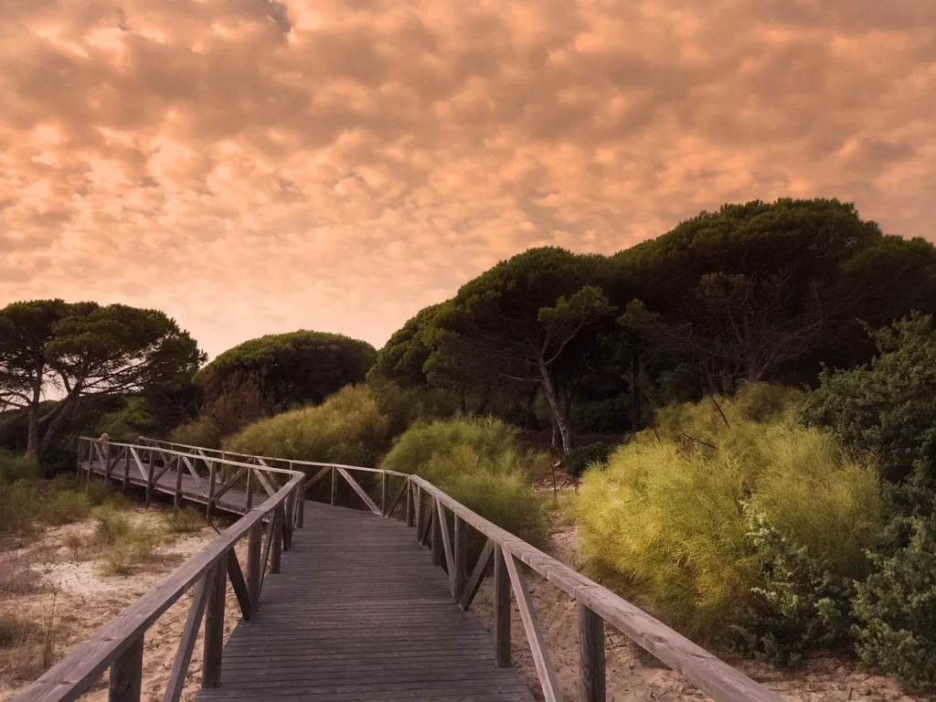 Belleza Natural de la Playa de Bolonia en Cádiz