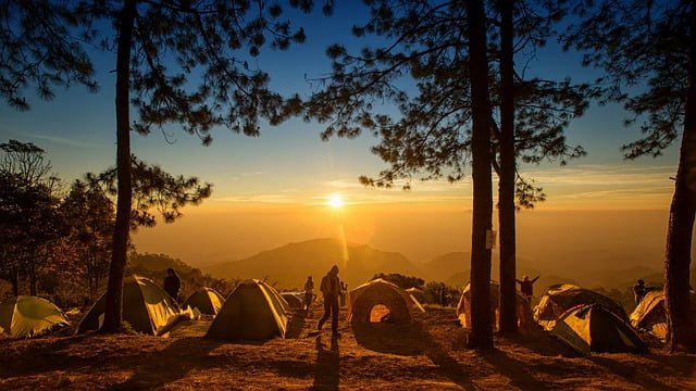 Toda la información del Camping Deiadar Xtreme - Irun