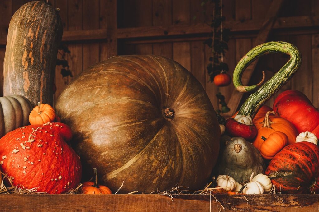 El Enigma de Halloween y las Calabazas