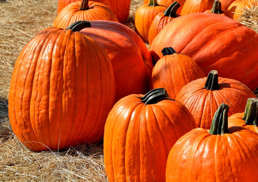 El Enigma de Halloween y las Calabazas