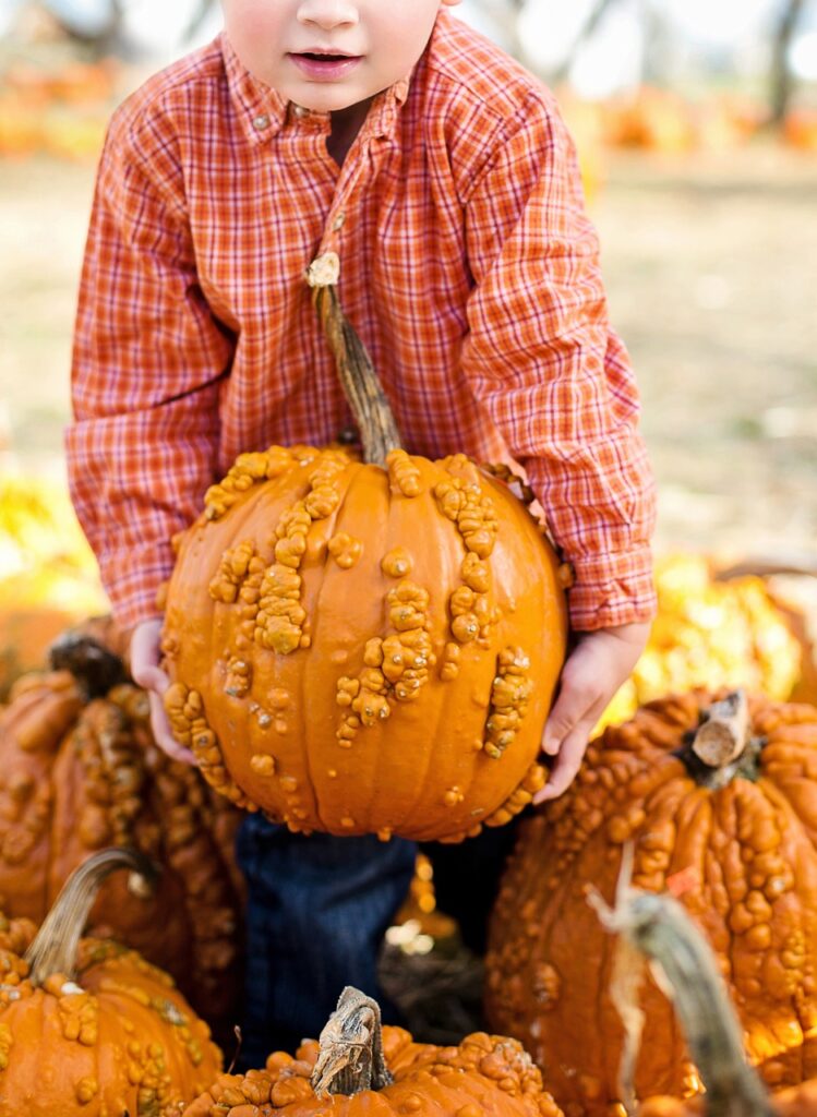 La Fascinante Historia de Halloween